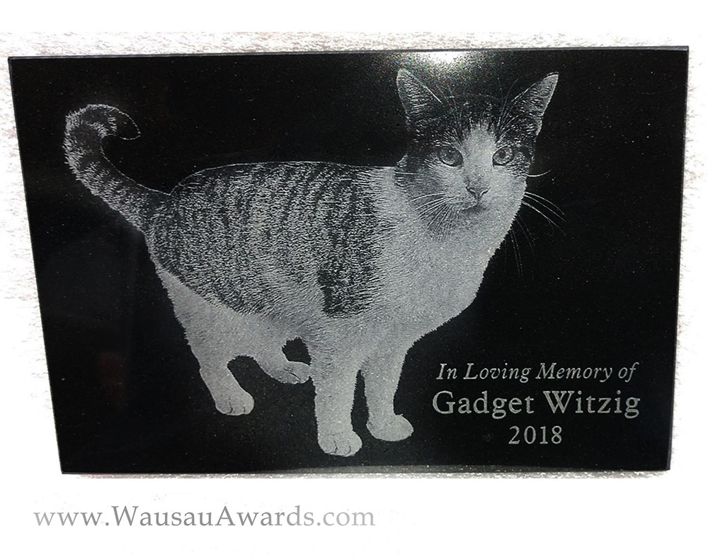 photo of a laser etched black marble tile for a pet cat